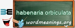 WordMeaning blackboard for habenaria orbiculata
